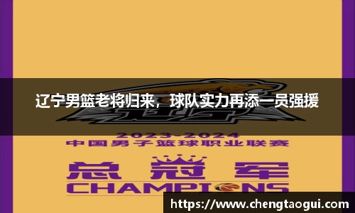 辽宁男篮老将归来，球队实力再添一员强援