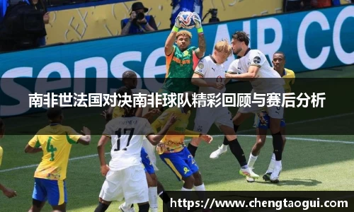 南非世法国对决南非球队精彩回顾与赛后分析