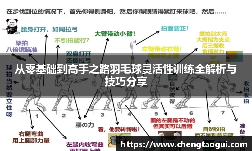 从零基础到高手之路羽毛球灵活性训练全解析与技巧分享
