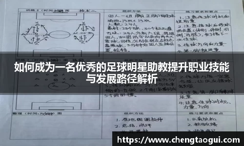 如何成为一名优秀的足球明星助教提升职业技能与发展路径解析