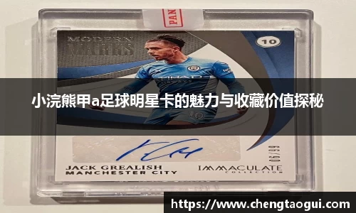 小浣熊甲a足球明星卡的魅力与收藏价值探秘